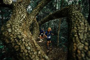 BIB: 
                            <button type="button" onclick="openModal(25701421)" class="btn btn-primary btn-sm float-right btn-popup" data-toggle="modal" data-target=".modal-high-quality">
                        <i class="fas fa-shopping-cart"></i> Add to Cart
                    </button>
                                            <button type="button" onclick="isThisMe(25701421, true)" class="btn btn-success btn-sm float-right btn-popup btn-isme hidden" data-toggle="tooltip" data-placement="bottom" title="นี่คือรูปของคุณใช่ไหม คลิกที่นี่เพื่อเอาเข้าอัลบั้ม">
                        <i class="fas fa-plus"></i> Add to album
                    </button>
                    <button type="button" onclick="isThisMe(25701421, false)" class="btn btn-warning btn-sm float-right btn-popup btn-isnotme hidden">
                        <i class="fas fa-ban"></i> Remove from album
                    </button>